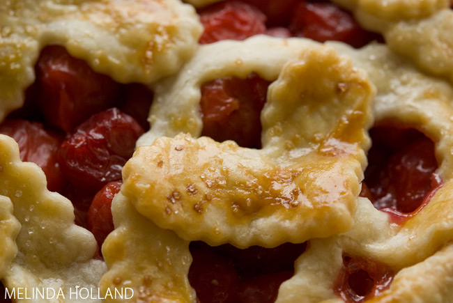 Homemade cherry pie with fresh-picked pie cherries.