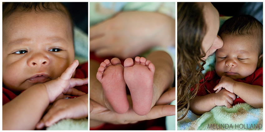 Haley & Kyler, Five weeks old, triptych 2