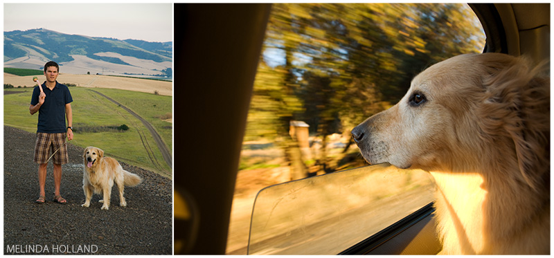 Jon & Max in Walla Walla, WA. Max enjoying the car window on a ride in CA.