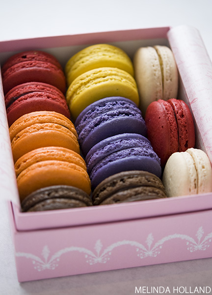 Bottega Louie Macarons