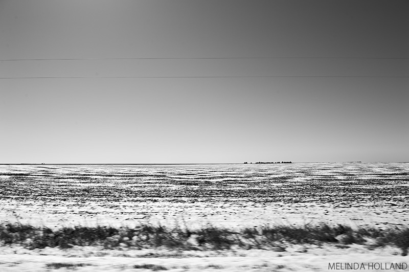 Kansas landscape