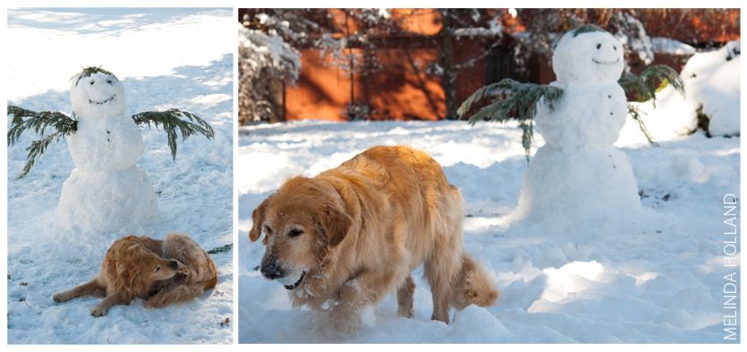 Max & Melvin the Snowman Max & Melvin the Snowman